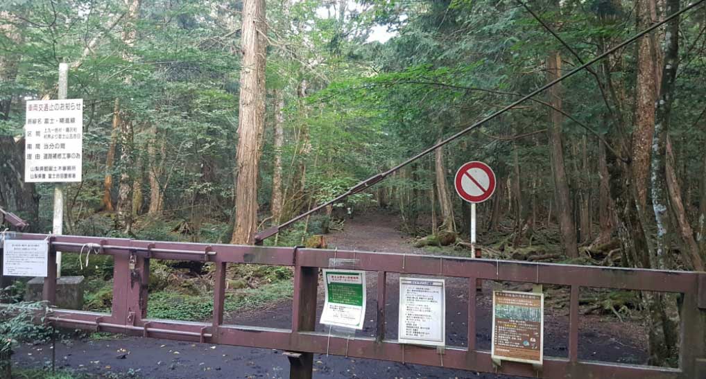 Hal Mengerikan di Hutan Aokigahara